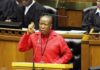 Malema claims that South African soldiers are at a loss in the Democratic Republic of the Congo.