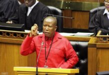 Malema claims that South African soldiers are at a loss in the Democratic Republic of the Congo.