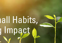 The Power of Small Daily Habits: How Tiny Actions Shape a Successful Life.