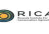 Veterinarian Job in Rwanda 2026 – Rwanda Institute for Conservation Agriculture (RICA) | Apply Before 23 February 2026