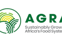 In-Country Finance Officer at AGRA Rwanda 2026 – Apply Before 20 February 2026